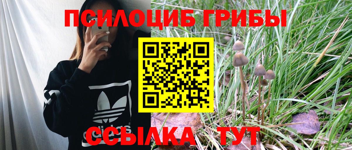 Кувандык  Галлюциногенные грибы GOLDEN TEACHER  Вход с VPN 