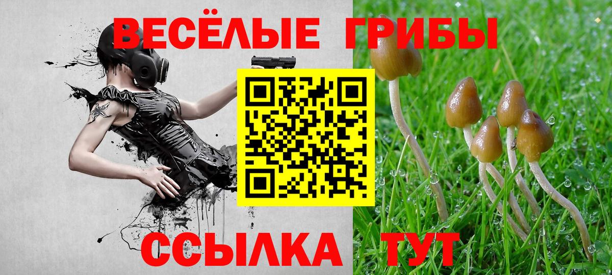 Галлюциногенные грибы мухоморы Кувандык